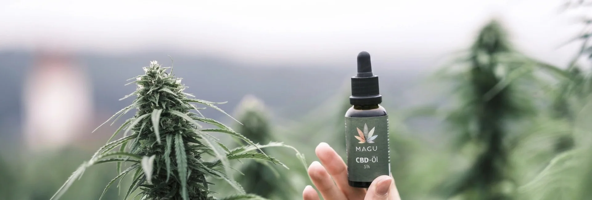 Magu CBD – Premium CBD Öl und Hanfprodukte aus Wien